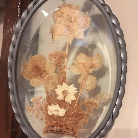 Vintage Apartmán
